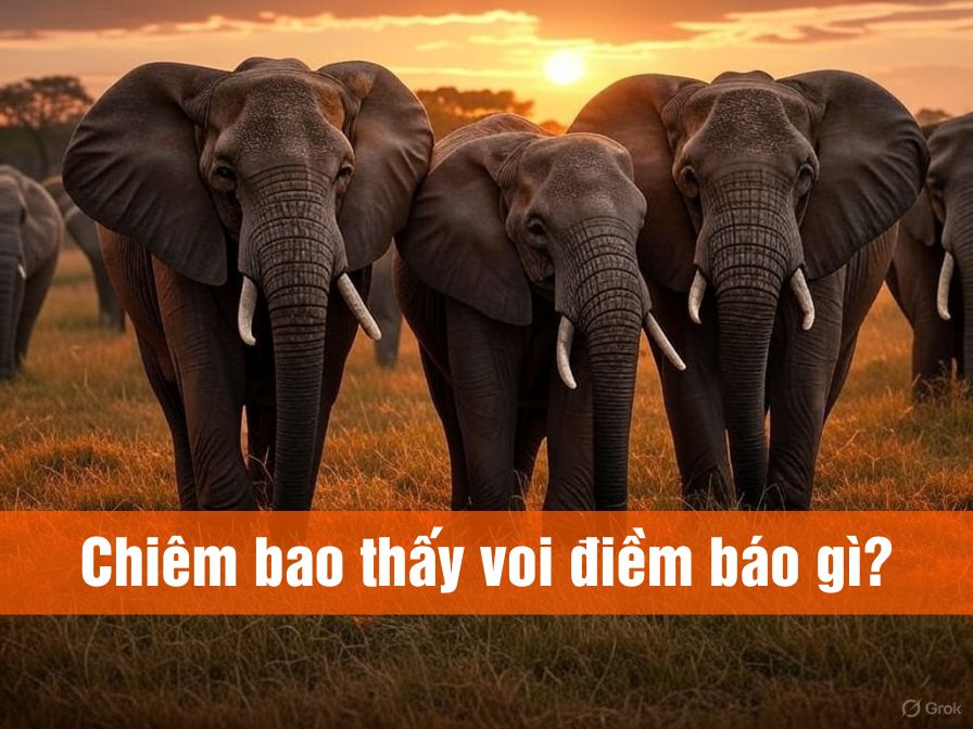  Điềm lành hay dữ khi ngủ mơ thấy voi? Con số may mắn là gì?
